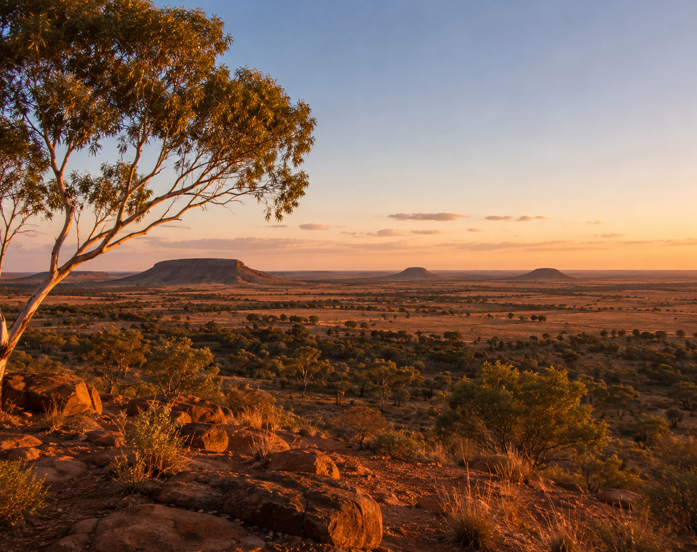 Outback landscape near Winton, Queensland, with open plains, rocky mesas and eucalyptus trees at sunset